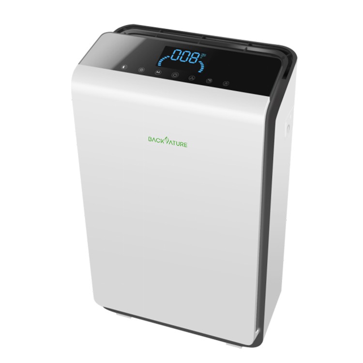 Ionic Air Purifier for Smoke