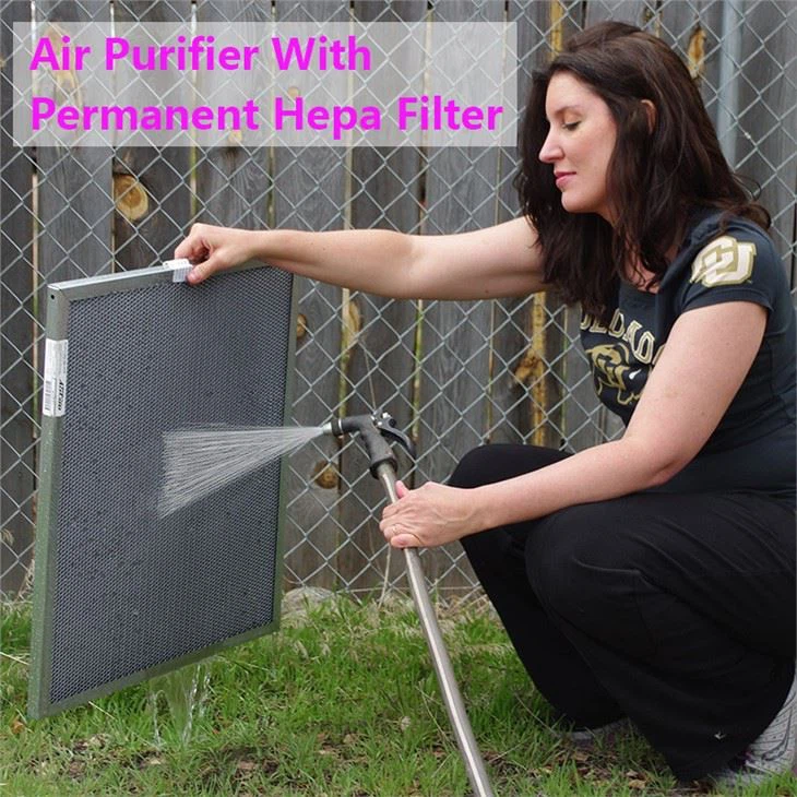 Air Purifier With Permanent Hepa Filter