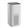 Mold Purifier