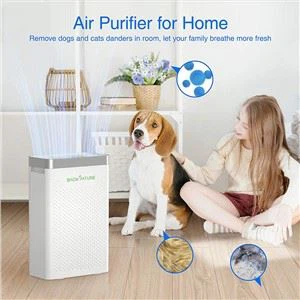 The Best HEPA Air Purifier