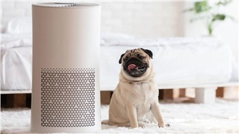 How Long Do Hepa Filters Last? What Are Hepa Filters Made of?