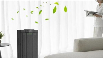 What Does An Ozone Generator Do?
